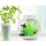 Aquarium Sand Factory - Color Sand Crystal Quartz Stones