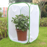 Butterfly Net House Supplier - Green Collapsible Zipper Closure
