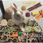 Small Animal Toys Supplier - Apple Wood Sticks for Teeth Care