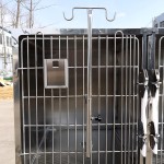 Veterinary ICU Cage Factory - Stainless Steel Sustainable Hospital