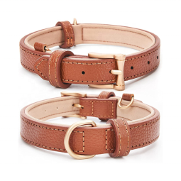 Leather Dog Collar Manufacturer - Breathable Neoprene Padded Waterproof