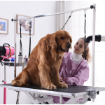 Pet Grooming Table Supplier - Electric Lifting with Arm