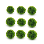 Aquarium Moss Balls Manufacturer - Aquatic Plants Decorations
