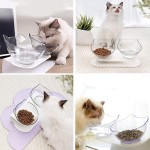 Cat Feeding Bowl Manufacturer - 15 Degree Tilted Elevated Stand