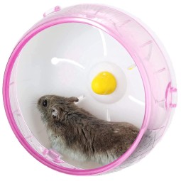 Hamster Wheel Factory - Silent PP Material Running Wheel