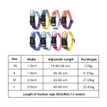宠物项圈牵引绳厂家-多渐变色彩可定制印花