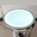 Pet Grooming Table Supplier - LED Electric Lifting Round Design