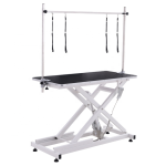 Pet Grooming Table Supplier - Electric Lifting with Arm