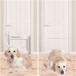 Door Protector Factory - PVC Transparent Dog Scratch Shield