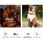 宠物安全项圈厂家-防水发光闪烁