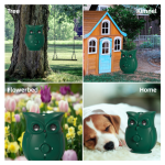 防吠叫设备厂家-1000毫安防水超声波