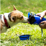 Dog Travel Bottle Supplier - 2 in 1 Food Water Storage Container