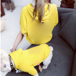 宠物亲子装厂家-棉质匹配主人衬衫