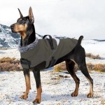 狗狗夹克厂家-防水寒冷天气反光条