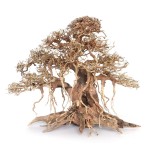 Aquarium Decorations Factory - Natural Driftwood Assorted Branches