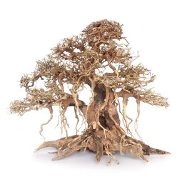 Aquarium Decorations Factory - Natural Driftwood Assorted Branches