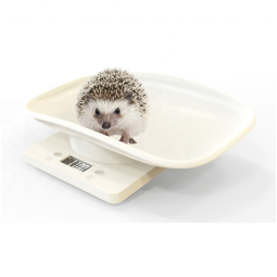 Pet Weighing Scale Supplier - Digital Portable Guinea Pig Scale
