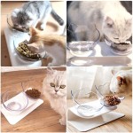 Cat Feeding Bowl Manufacturer - 15 Degree Tilted Elevated Stand