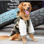 狗狗夹克厂家-迷彩法兰绒中大型犬