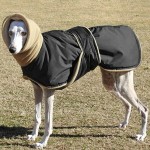 狗狗外套厂家-超暖加厚夹克大狗专用