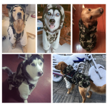 狗狗夹克厂家-迷彩法兰绒中大型犬