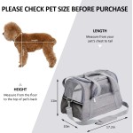 Pet Carrier Supplier - Airline Approved Soft Plush Window Mesh