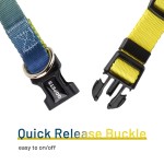 宠物项圈牵引绳厂家-多渐变色彩可定制印花