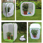 Butterfly Net House Supplier - Green Collapsible Zipper Closure