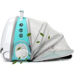 猫背包携带箱厂家-气泡袋透明太空舱