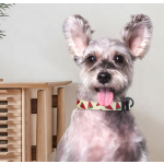 宠物狗项圈厂家-可定制印花logo涤纶柔软