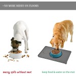 Pet Food Mat Supplier - Silicone Waterproof Non-Slip Tray