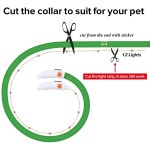 LED狗项圈厂家-USB充电发光安全项圈