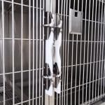 Veterinary Cage Factory - Nine Compartments Stainless Steel