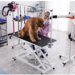 Pet Grooming Table Supplier - Electric Lifting with Arm