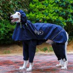 狗狗雨衣厂家-防风防水可调兜帽