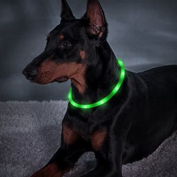 Glow Dog Collar Supplier - Rechargeable LED Adjustable Flashing