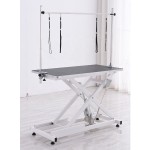 Pet Grooming Table Supplier - Electric Lifting with Arm