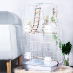 鹦鹉笼厂家-36英寸双大号金属繁殖