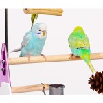 鸟栖架厂家-ABS抛光金属桌面架