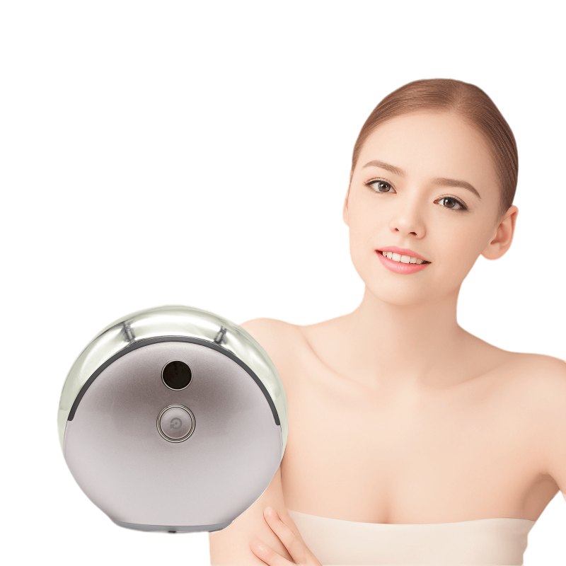 RF面部按摩仪厂家-智能LED离子护理多国插头