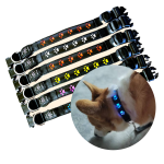 犬项圈厂家-新款雕刻涤棉金属扣