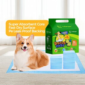 Dog Pee Pad Supplier - Fast Delivery Custom Logo Super Absorbent