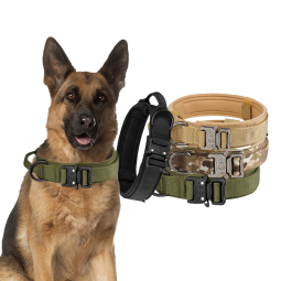 宠物牵引绳供应商-现货防丢简约尼龙