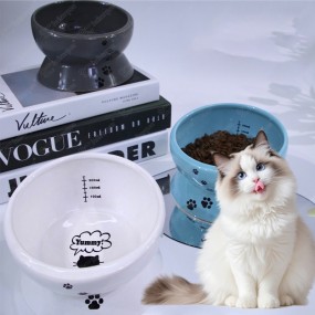 慢食猫碗厂家-热门新款陶瓷环保