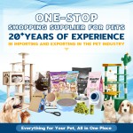 宠物背带供应商-可定制尼龙可调防缠结