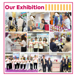 宠物旅行箱厂家-一站式服务航空批准犬用