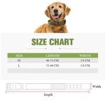 犬项圈厂家-现货战术德牧训练