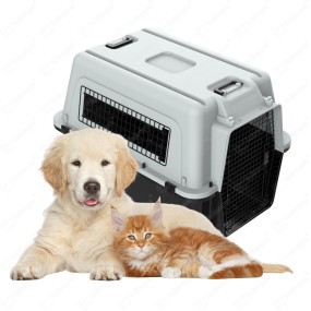 宠物运输箱生产商-定制标识多尺寸便携塑料