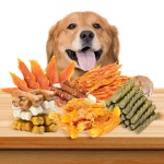 宠物窝生产商-热销可拆卸木质犬舍屋