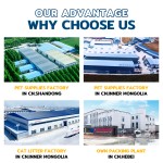 宠物湿巾生产商-可生物降解天然清洁猫狗用